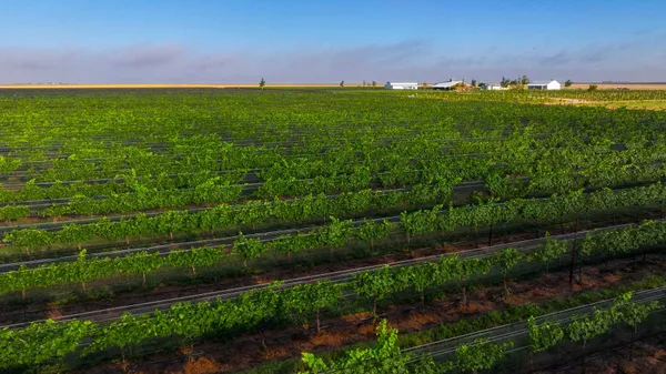a view of a pool with an ocean view