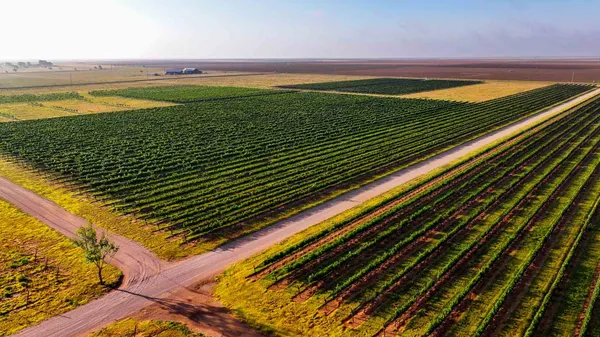 a view of a swimming pool with an ocean view