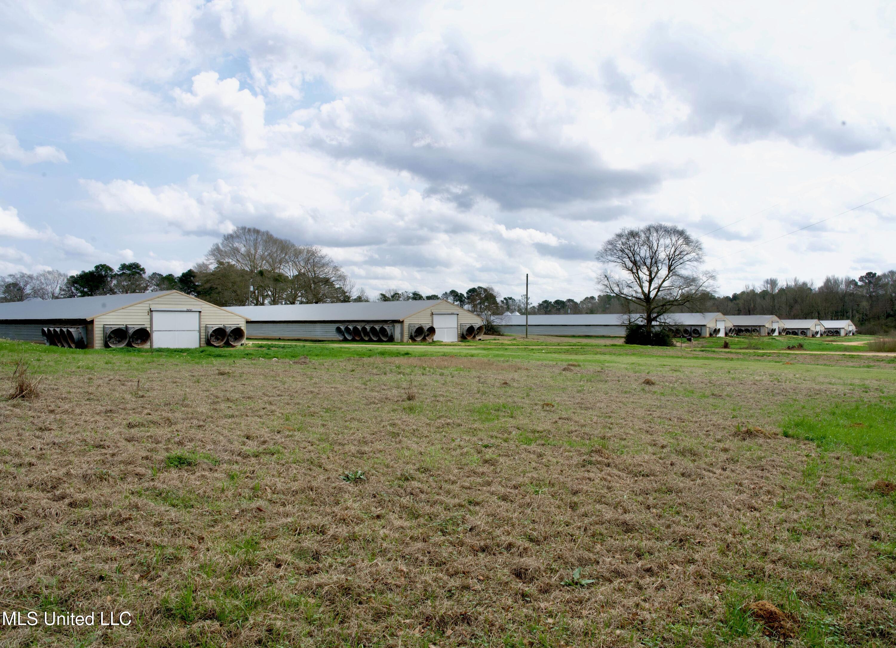 48 Fulgham Road Tylertown, MS 39667 - Photo 1 of 40 DSC01545 (1)