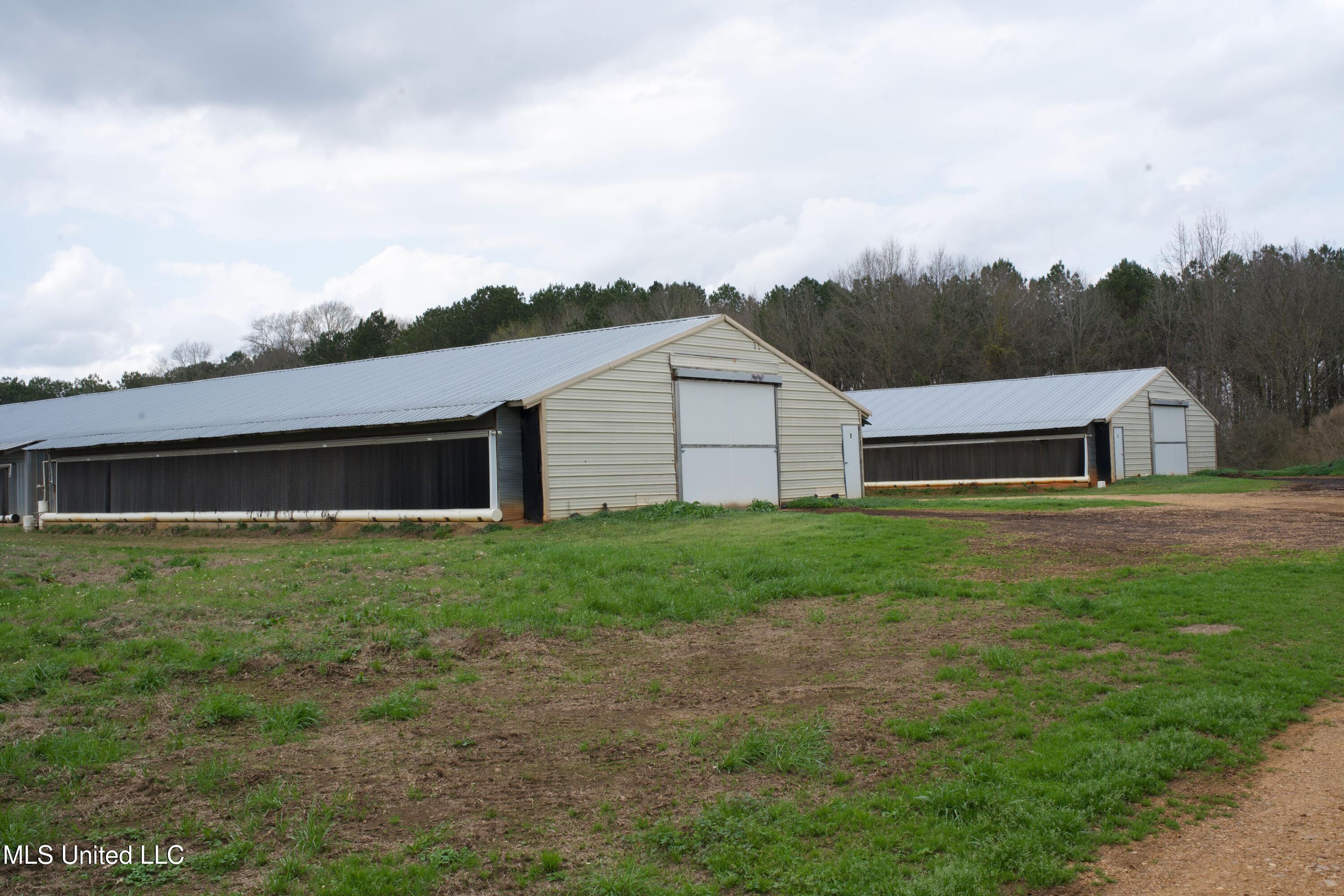 48 Fulgham Road Tylertown, MS 39667 - Photo 11 of 40 DSC01607 (1)