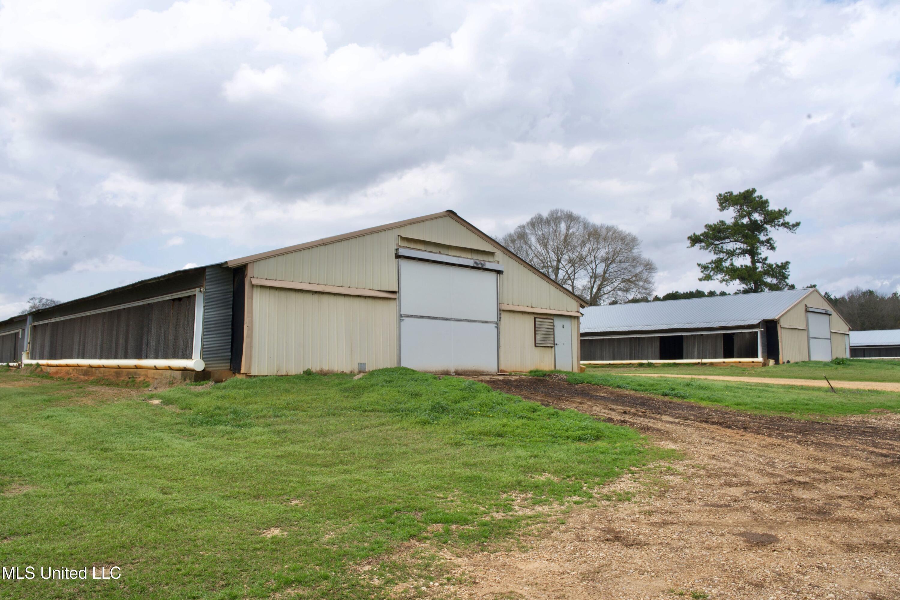 48 Fulgham Road Tylertown, MS 39667 - Photo 12 of 40 DSC01604 (1)