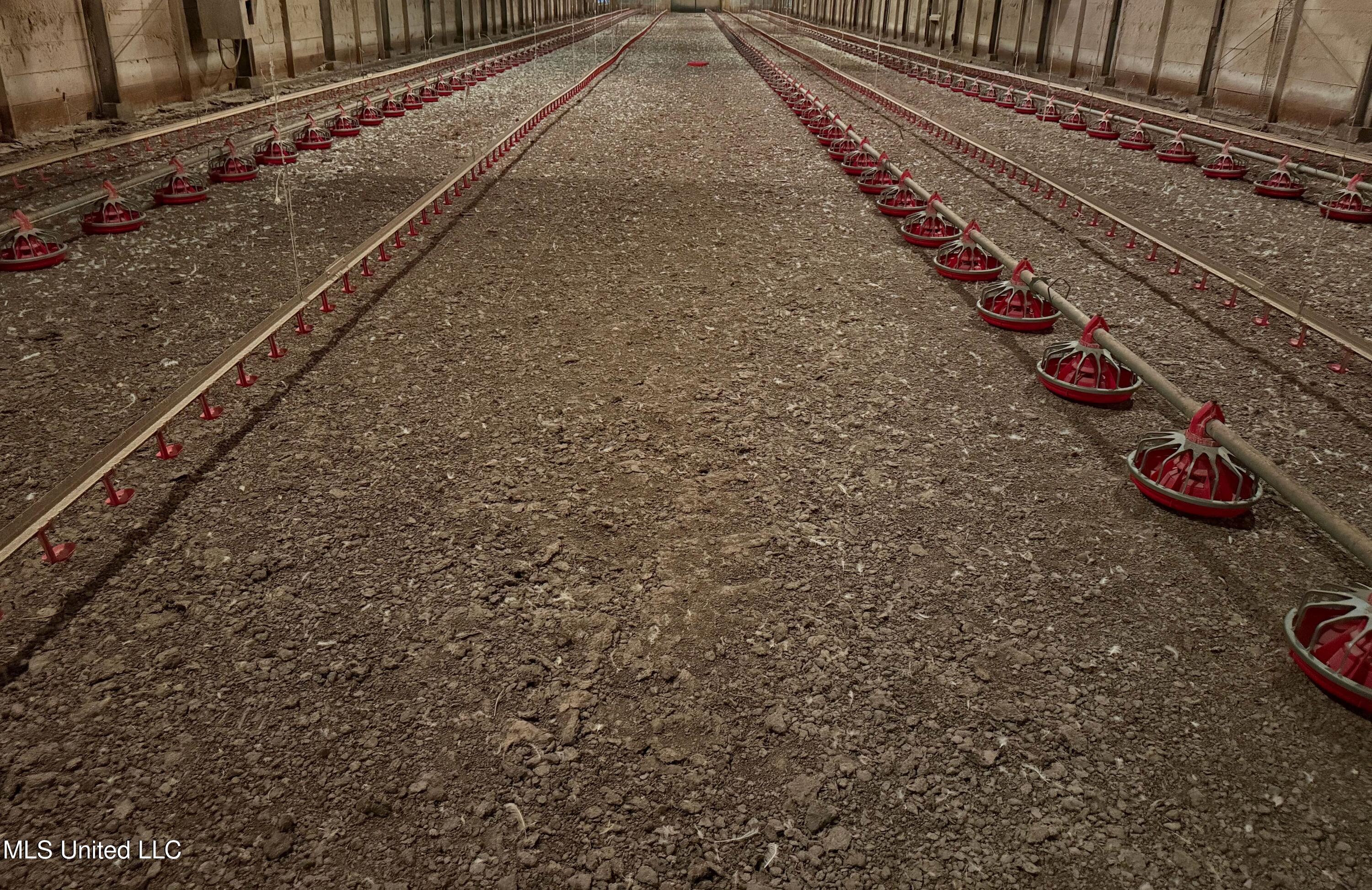 48 Fulgham Road Tylertown, MS 39667 - Photo 13 of 40 IMG_1786