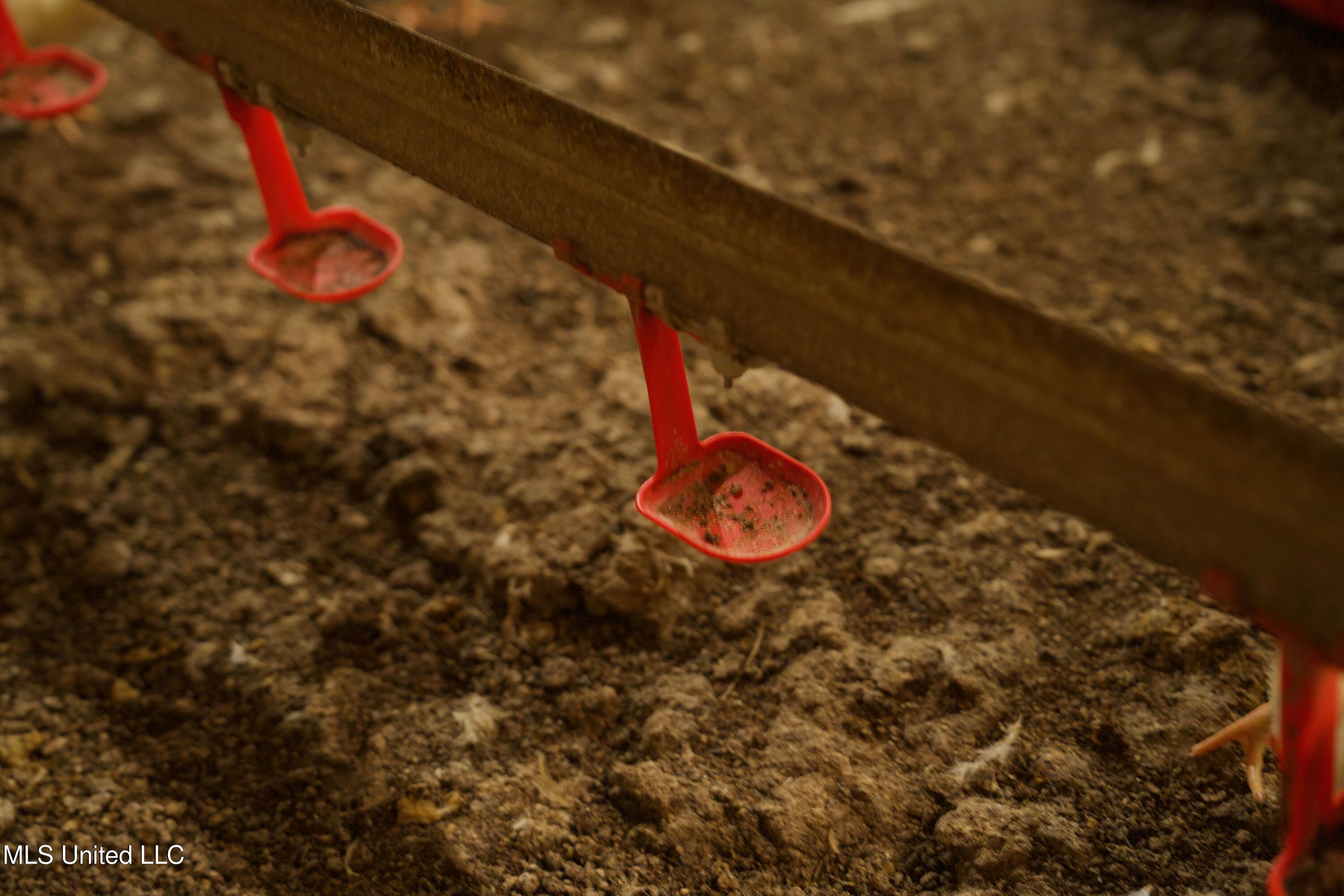 48 Fulgham Road Tylertown, MS 39667 - Photo 26 of 40 DSC01631 (1)