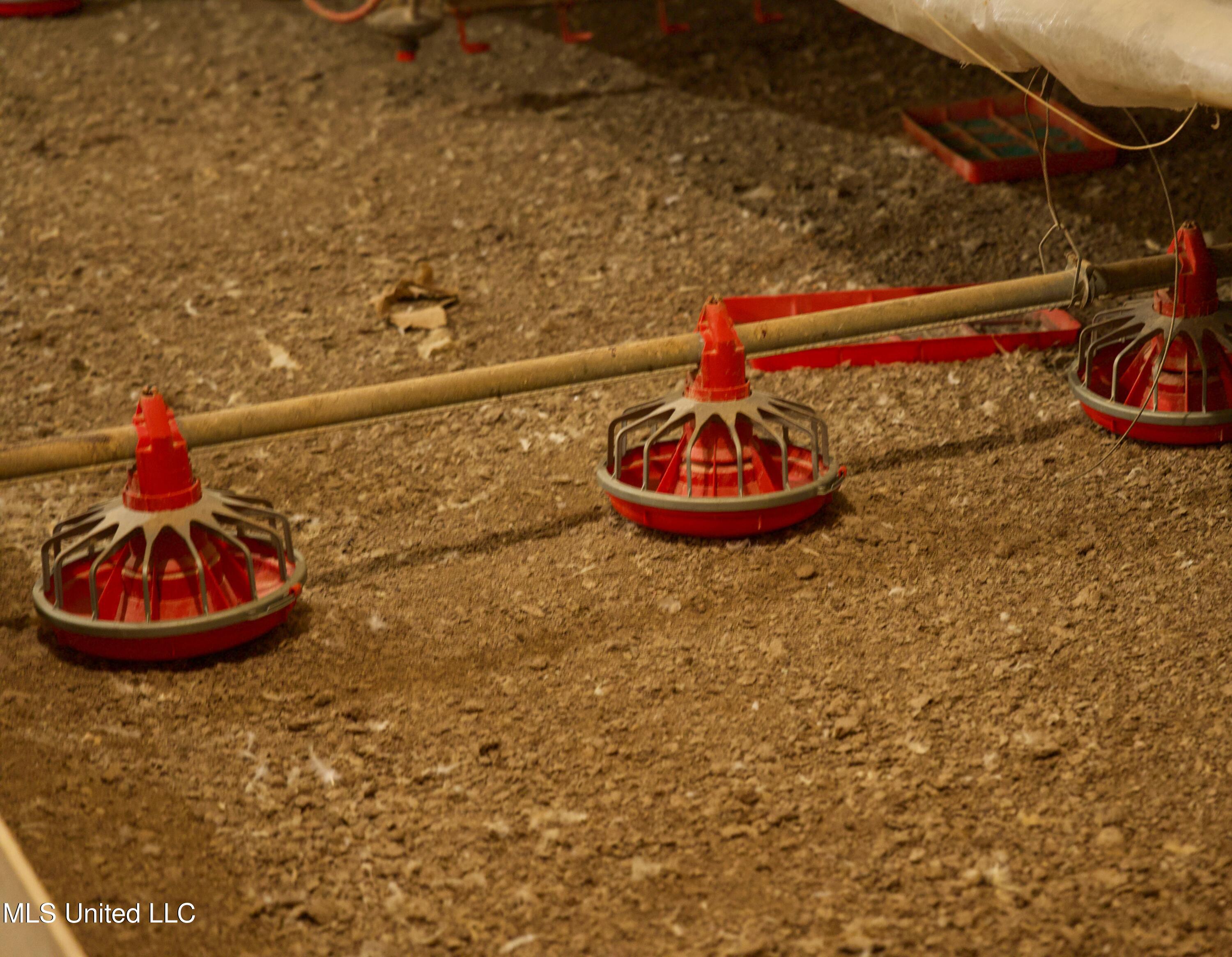 48 Fulgham Road Tylertown, MS 39667 - Photo 27 of 40 DSC01629 (1)