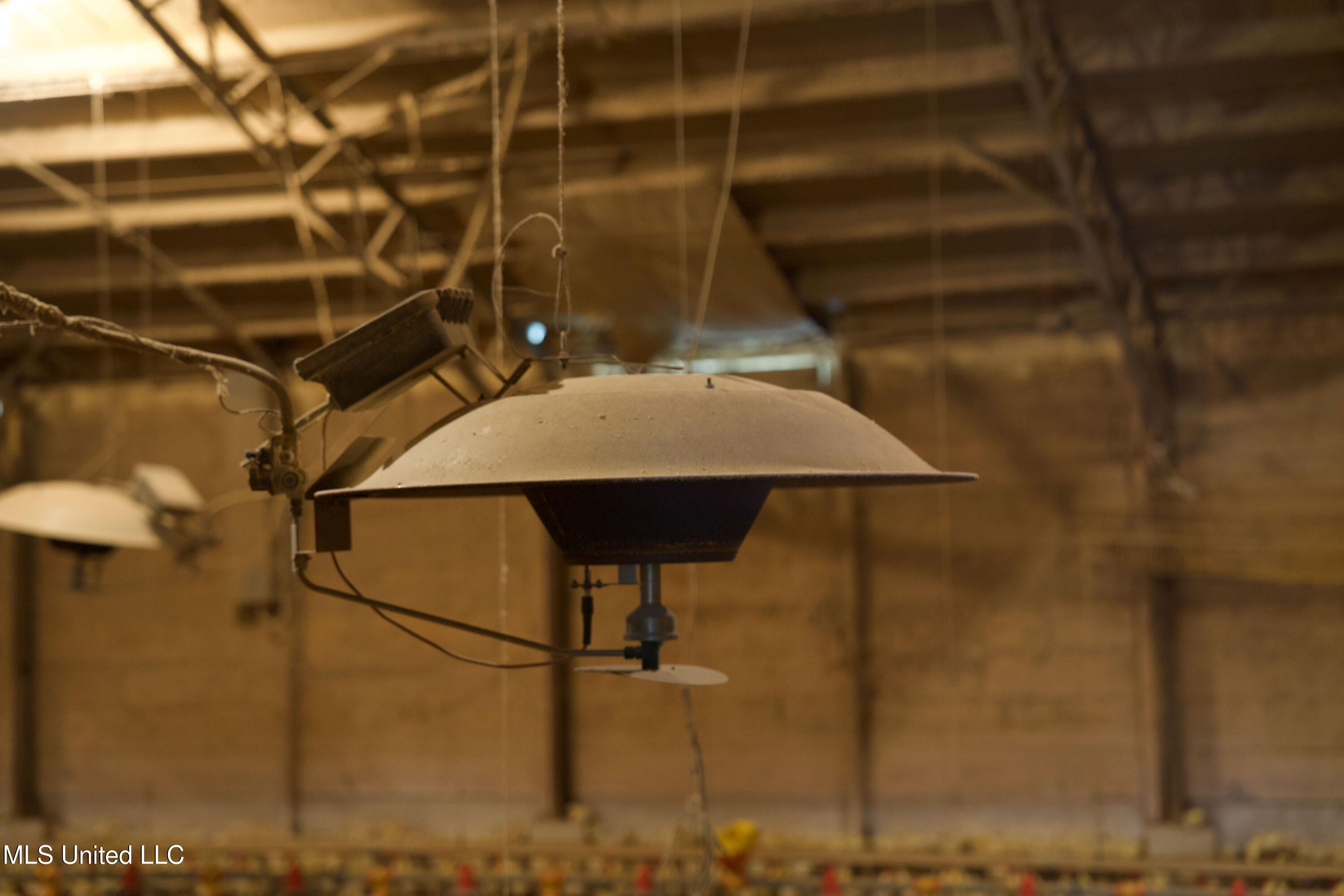 48 Fulgham Road Tylertown, MS 39667 - Photo 28 of 40 DSC01617 (1)