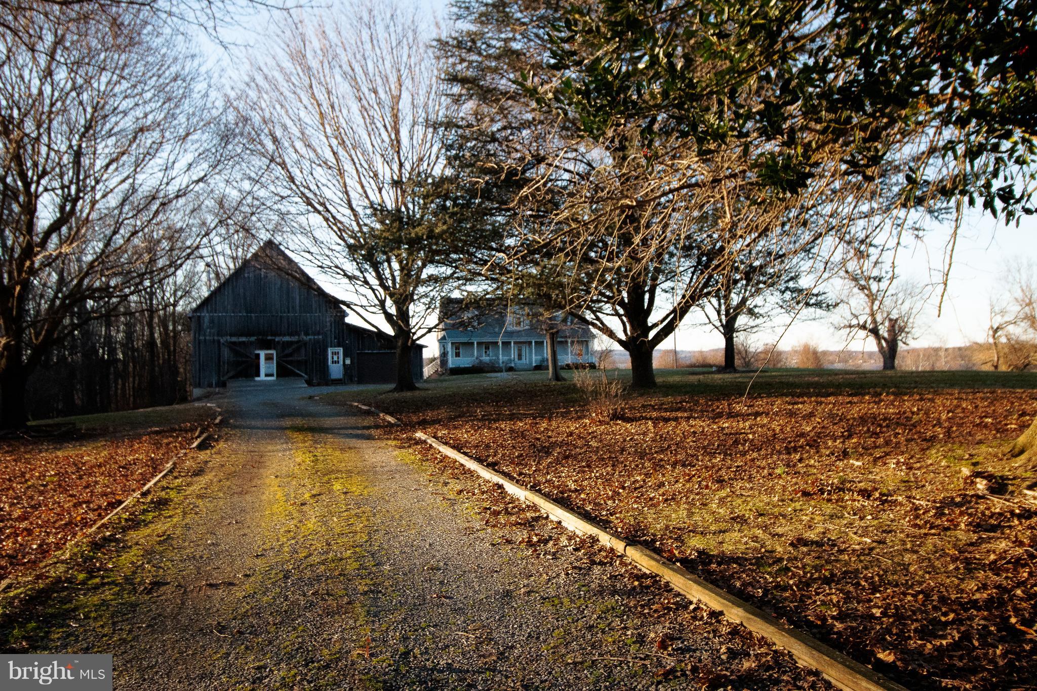 335 Stoney Battery Road Earleville, MD 21919 - Photo 4 of 46 Long driveway with plenty of parking