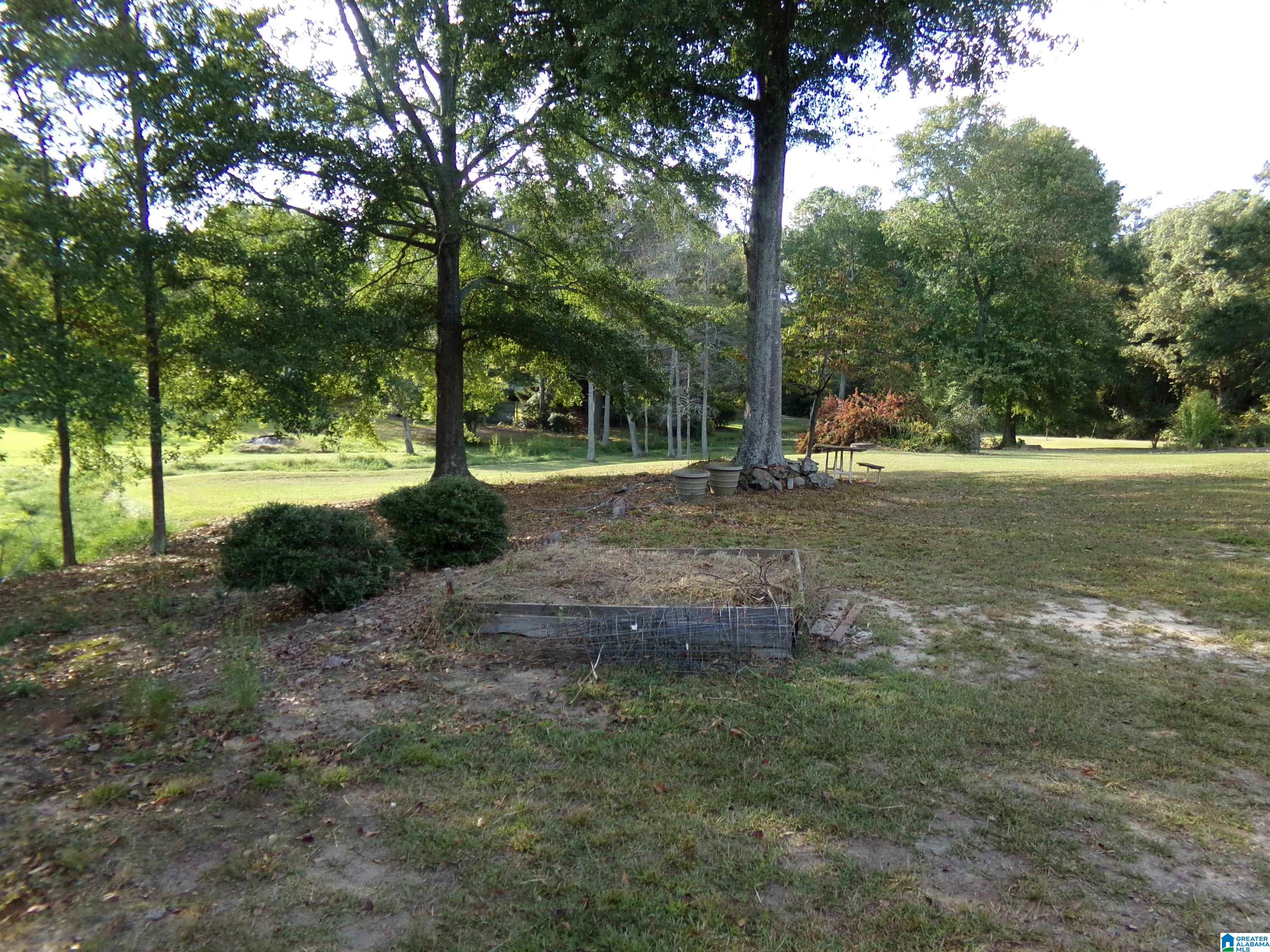 1035 Union Grove Road North Crossville, AL 35962 - Photo 12 of 99