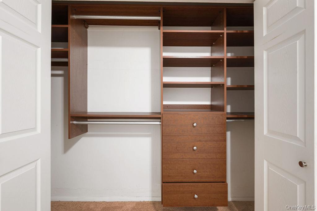 103 Wiltshire Road, Unit D6 Scarsdale, NY 10583 - Photo 12 of 20 a view of a walk in closet