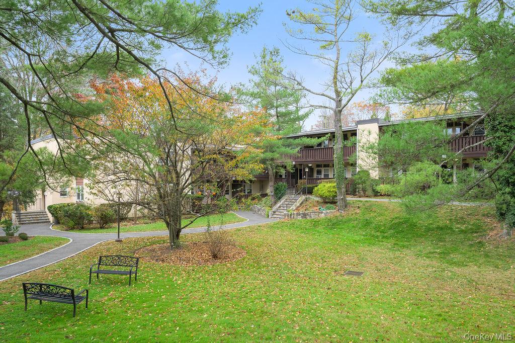 103 Wiltshire Road, Unit D6 Scarsdale, NY 10583 - Photo 19 of 20 a view of yard with green space