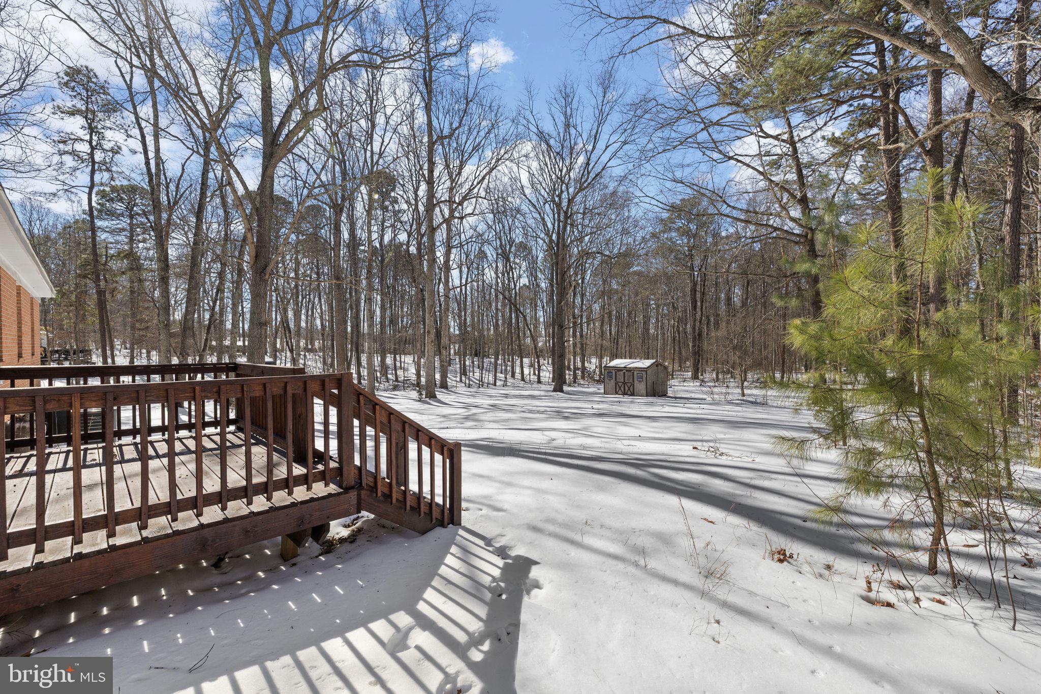 727 Chalklevel Road Louisa, VA 23093 - Photo 44 of 49 a view of a yard with large trees