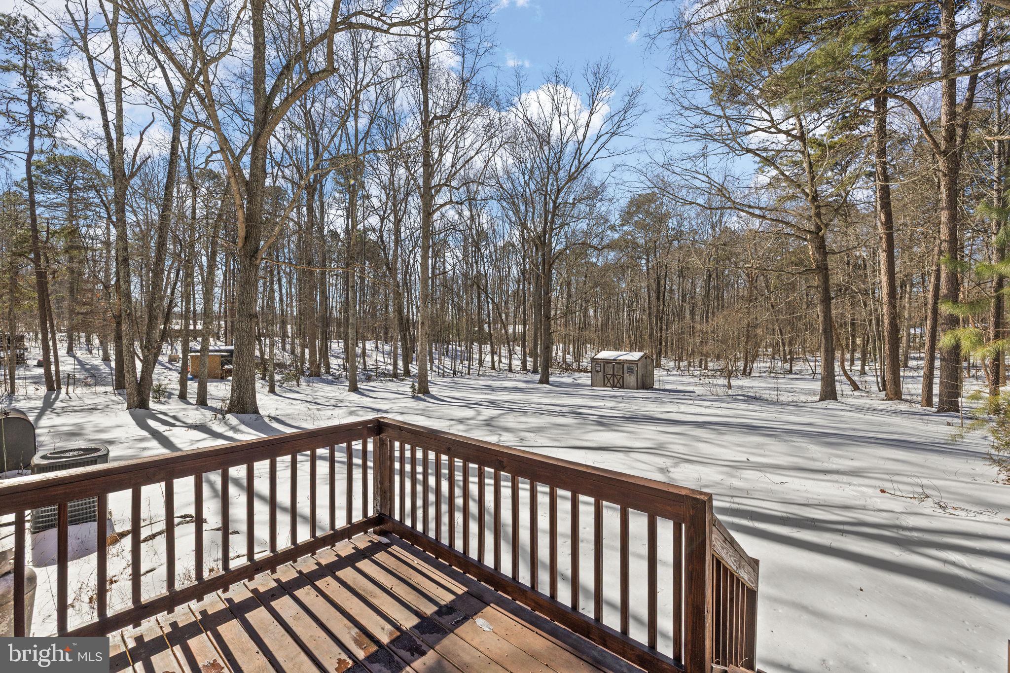 727 Chalklevel Road Louisa, VA 23093 - Photo 47 of 49 a view of a yard with large trees