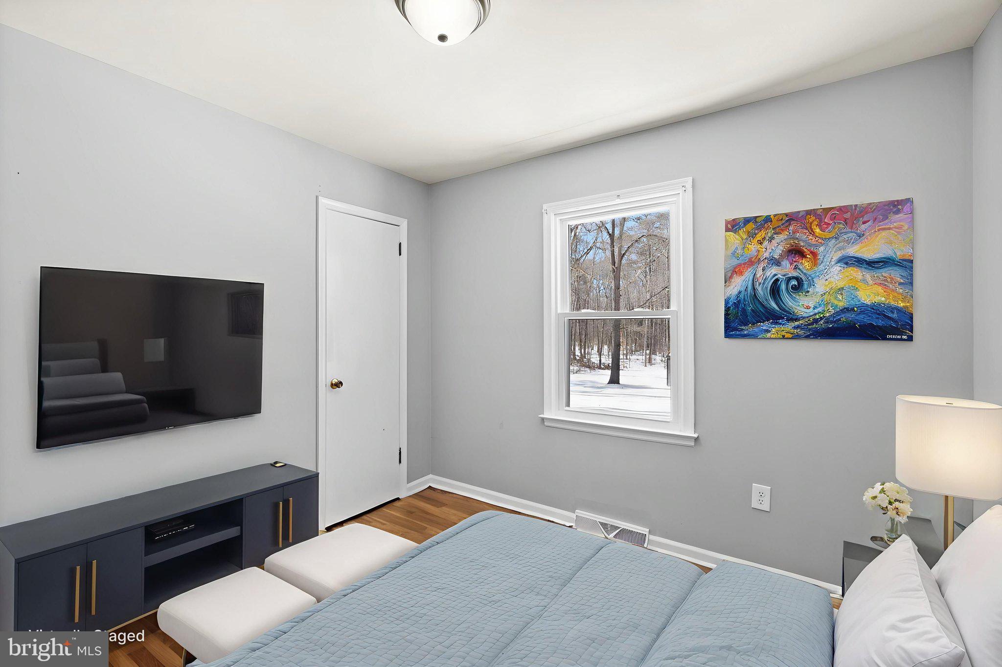 727 Chalklevel Road Louisa, VA 23093 - Photo 9 of 49 a bedroom with furniture and a flat screen tv