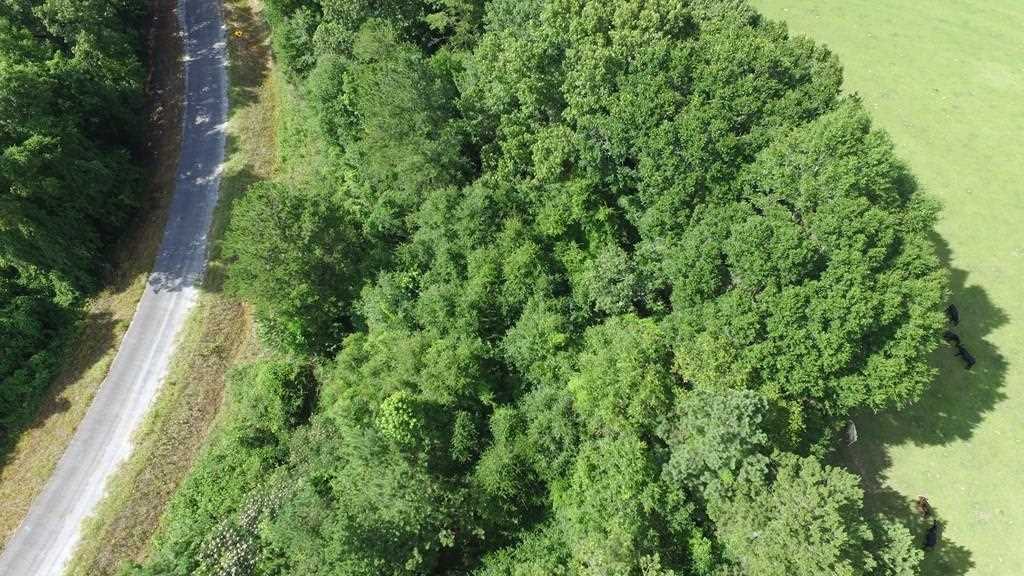 0 Meadow Lane Road Andalusia, AL 36421 - Photo 20 of 30 Gallery Image 20