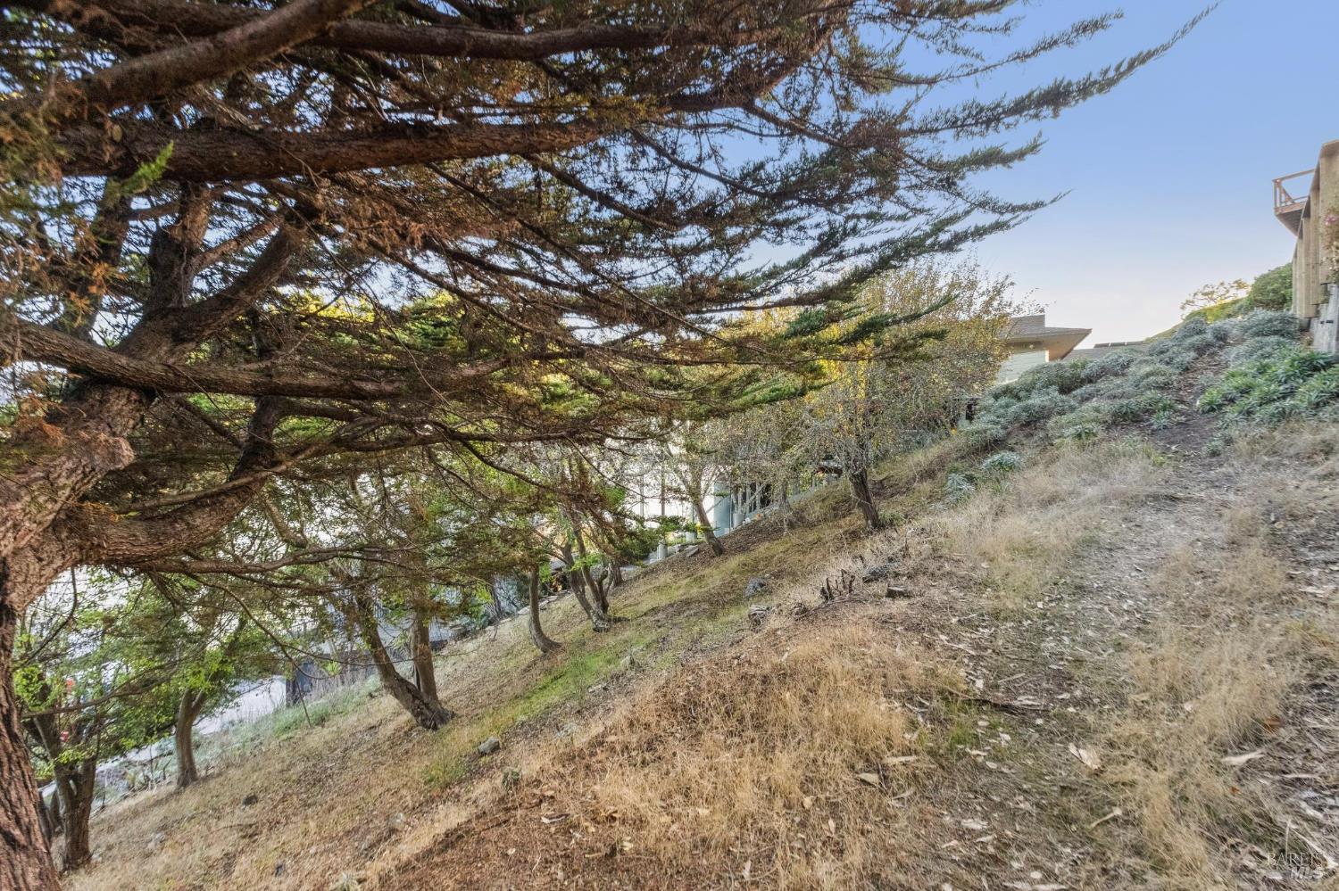 0 Tower Point Lane Tiburon, CA 94920 - Photo 18 of 28