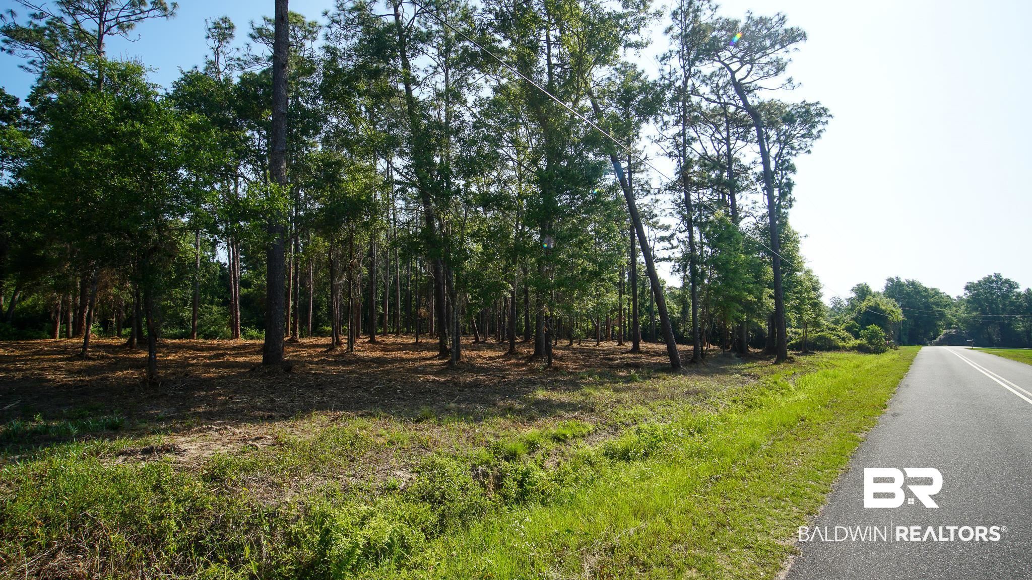 0 Antietam Road Lillian, AL 36549 - Photo 25 of 32