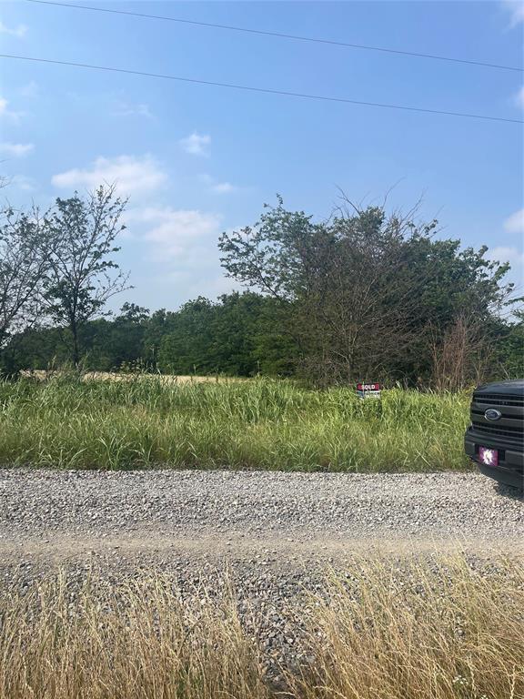 Tbd County Line Road Commerce, TX 75428 - Photo 2 of 7 a view of a yard with an trees