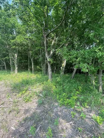 a green field with lots of trees in it