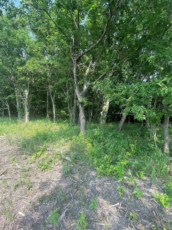 Tbd County Line Road Commerce, TX 75428 - Photo 3 of 7 a green field with lots of trees in it