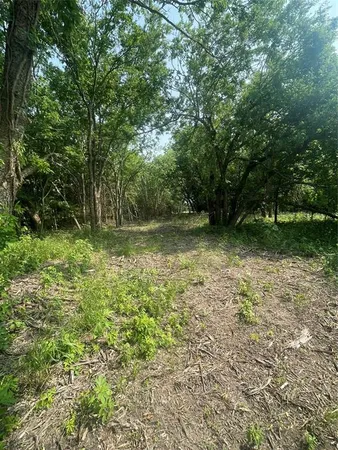 a view of outdoor space and yard