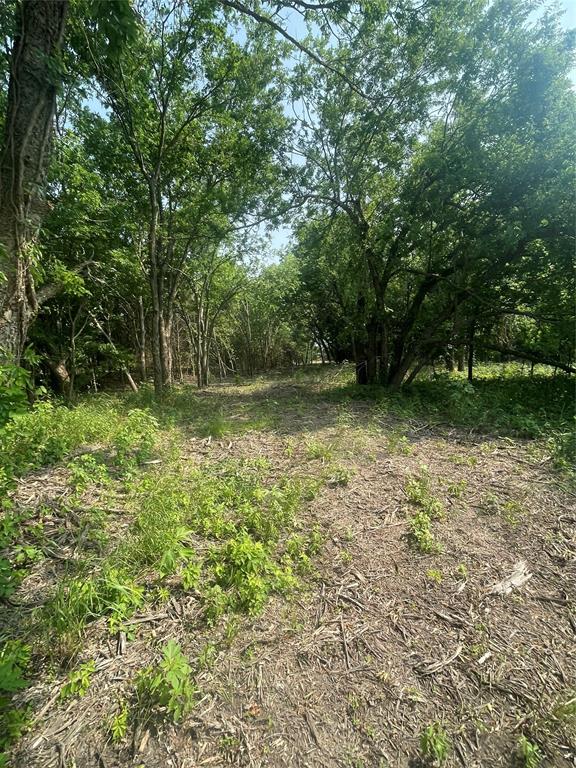 Tbd County Line Road Commerce, TX 75428 - Photo 5 of 7 a view of outdoor space and yard