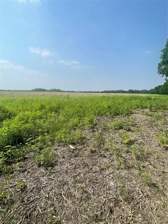 a view of a field with an ocean
