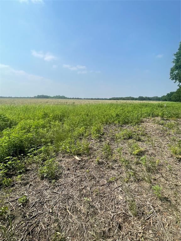 Tbd County Line Road Commerce, TX 75428 - Photo 6 of 7 a view of a field with an ocean