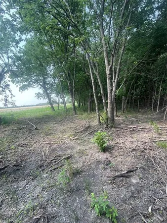 a view of outdoor space with trees all around
