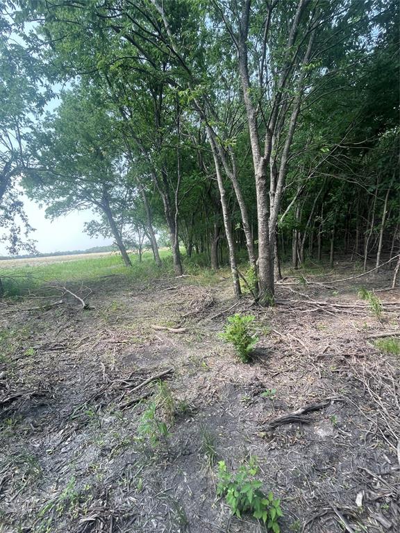 Tbd County Line Road Commerce, TX 75428 - Photo 7 of 7 a view of outdoor space with trees all around