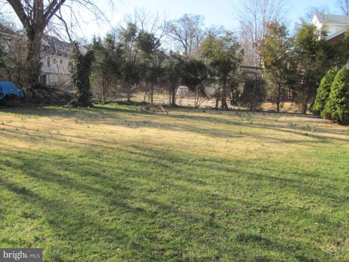 4513 Powder Mill Road Beltsville, MD 20705 - Photo 2 of 28 Back yard