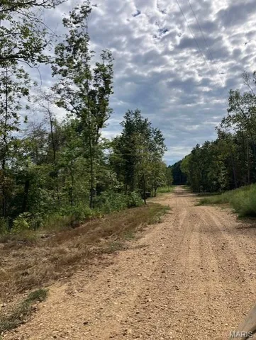 $36,995 | 116 Madison Cr, Fredericktown, MO 63645