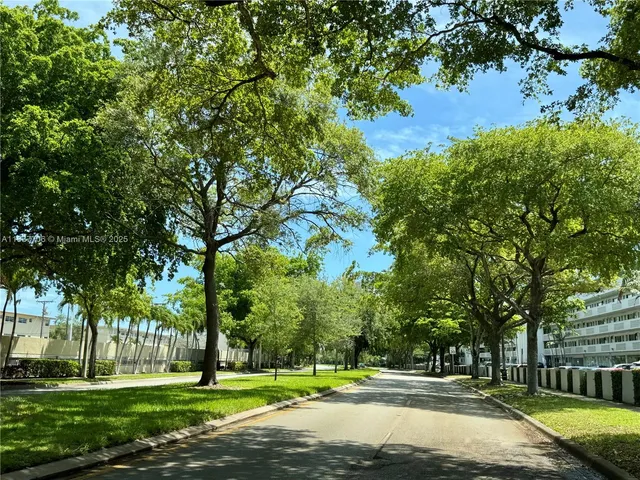 a view of a park with large trees