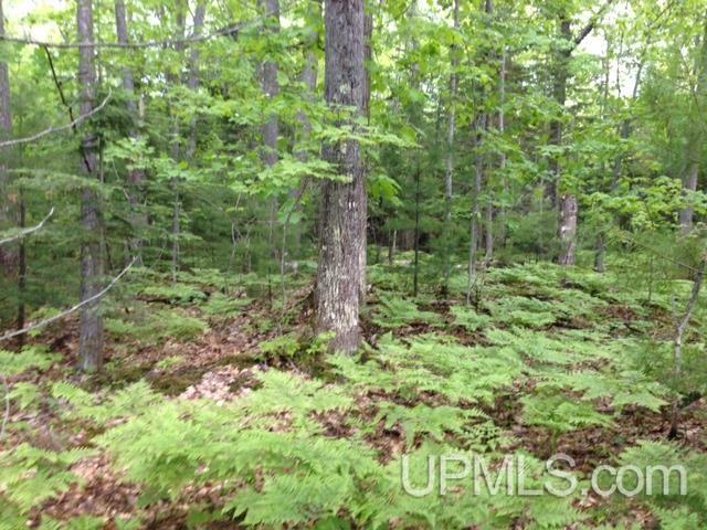 2 Bootjack Road, Unit PRINCESS POINT AREA Lake Linden, MI 49945 - Photo 19 of 20