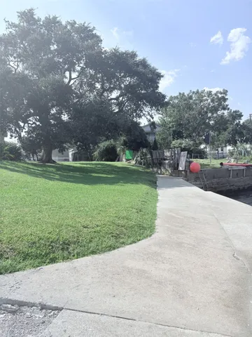 a view of a park with large trees