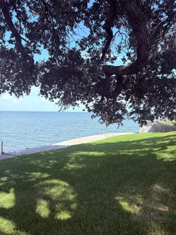 a view of a field with an trees