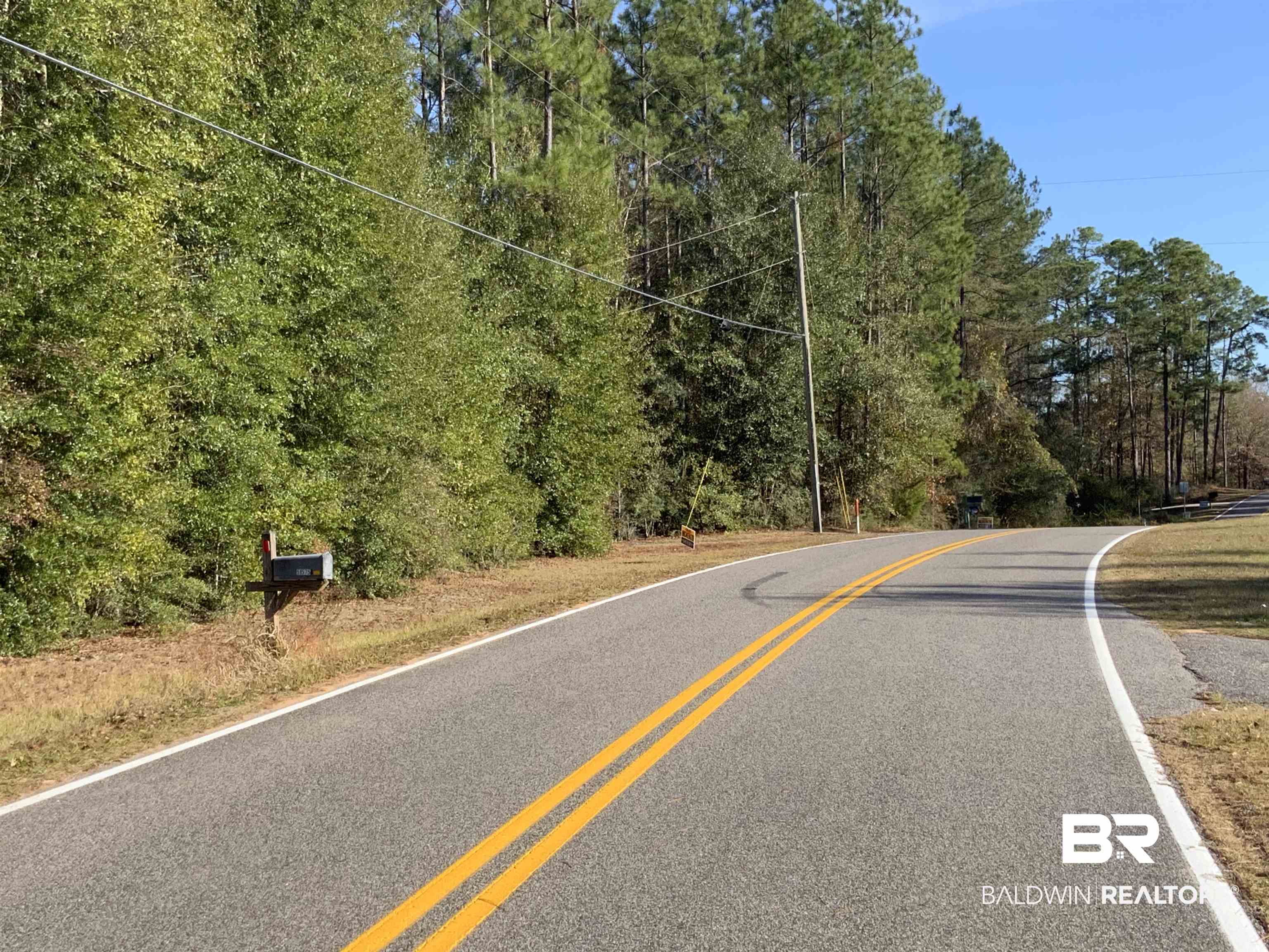 51575 Hollingsworth Road Bay Minette, AL 36507 - Photo 4 of 5 View of asphalt road