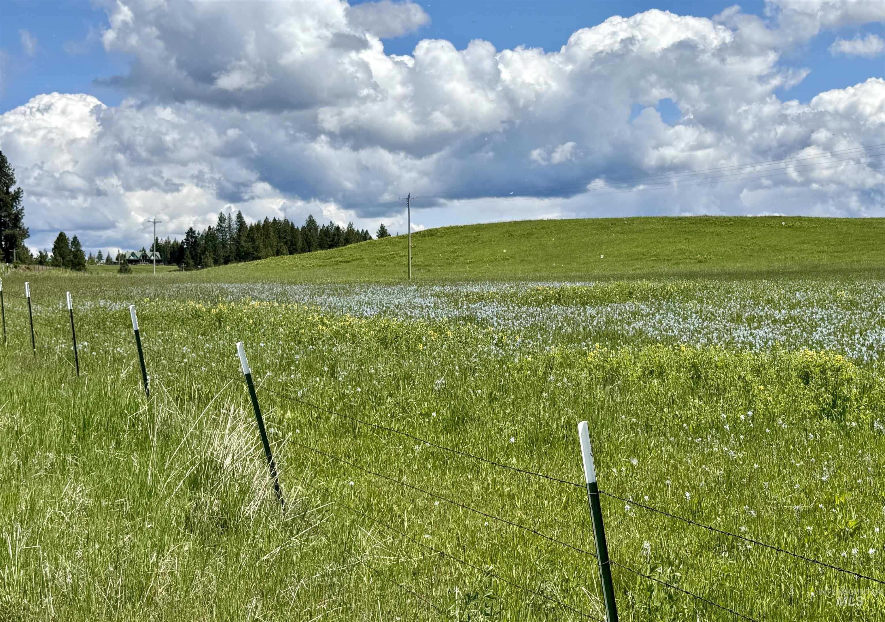 1726 Kidder Ridge Road Kamiah, ID 83536 - Photo 11 of 30