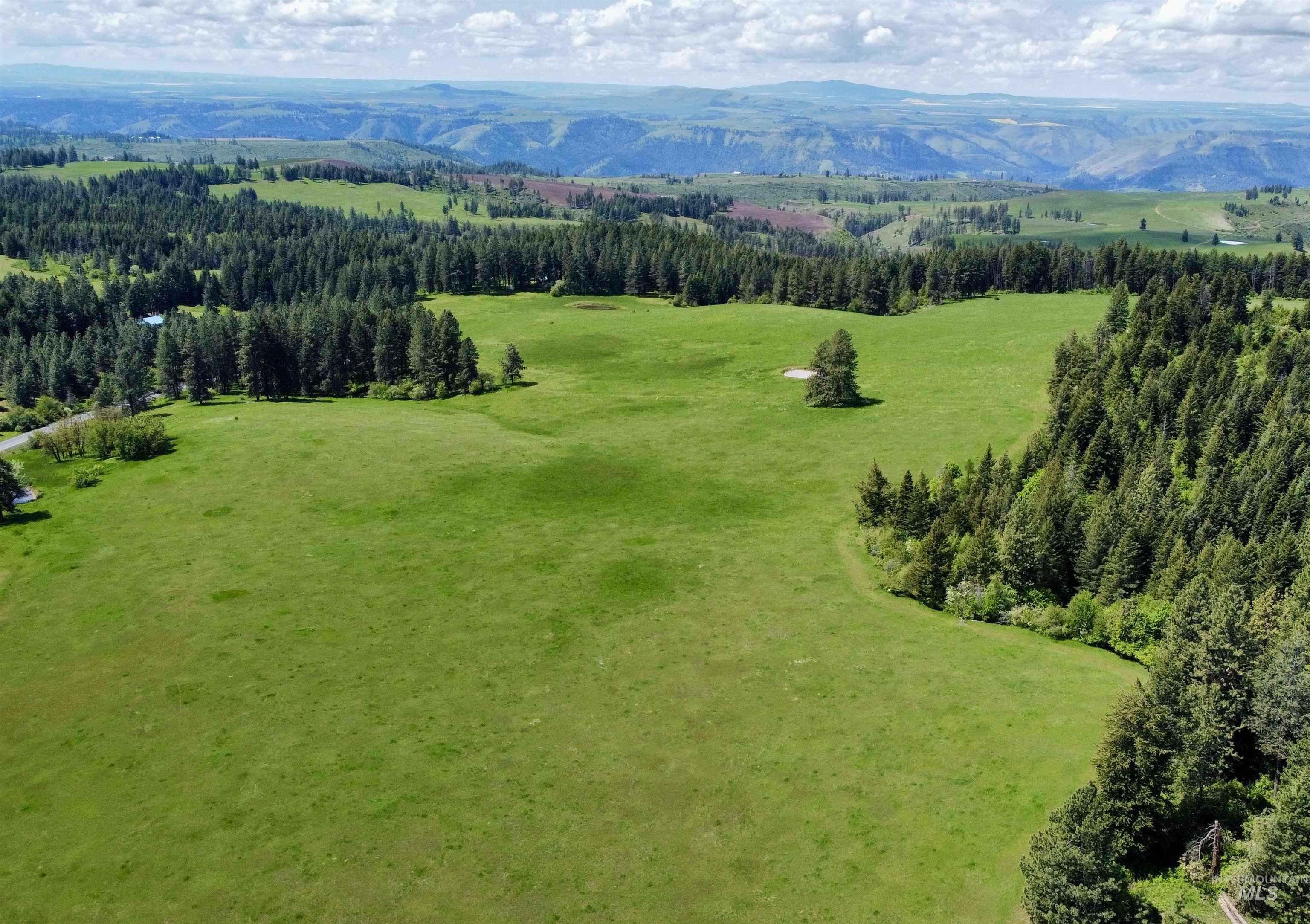 1726 Kidder Ridge Road Kamiah, ID 83536 - Photo 15 of 30