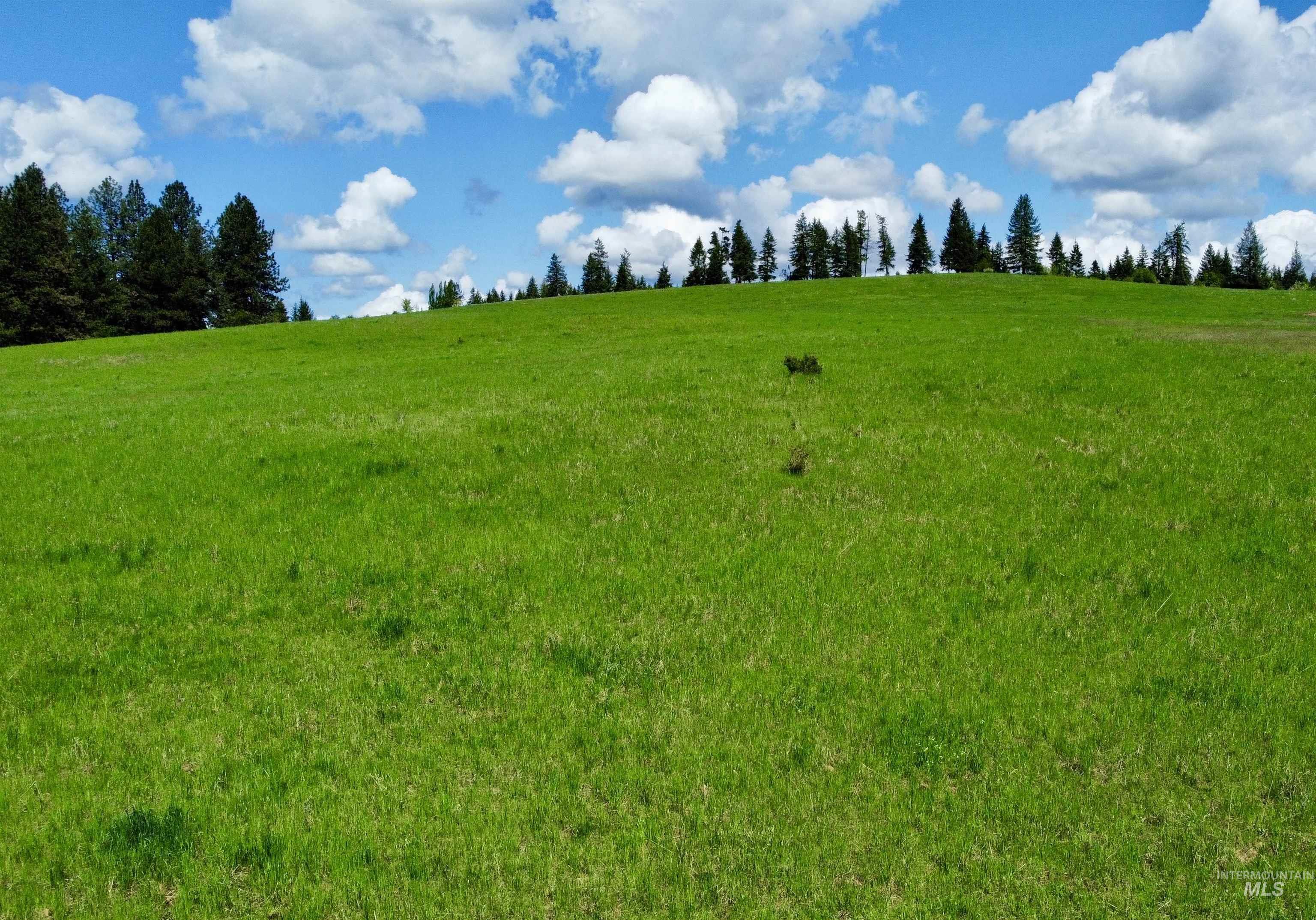 1726 Kidder Ridge Road Kamiah, ID 83536 - Photo 17 of 30