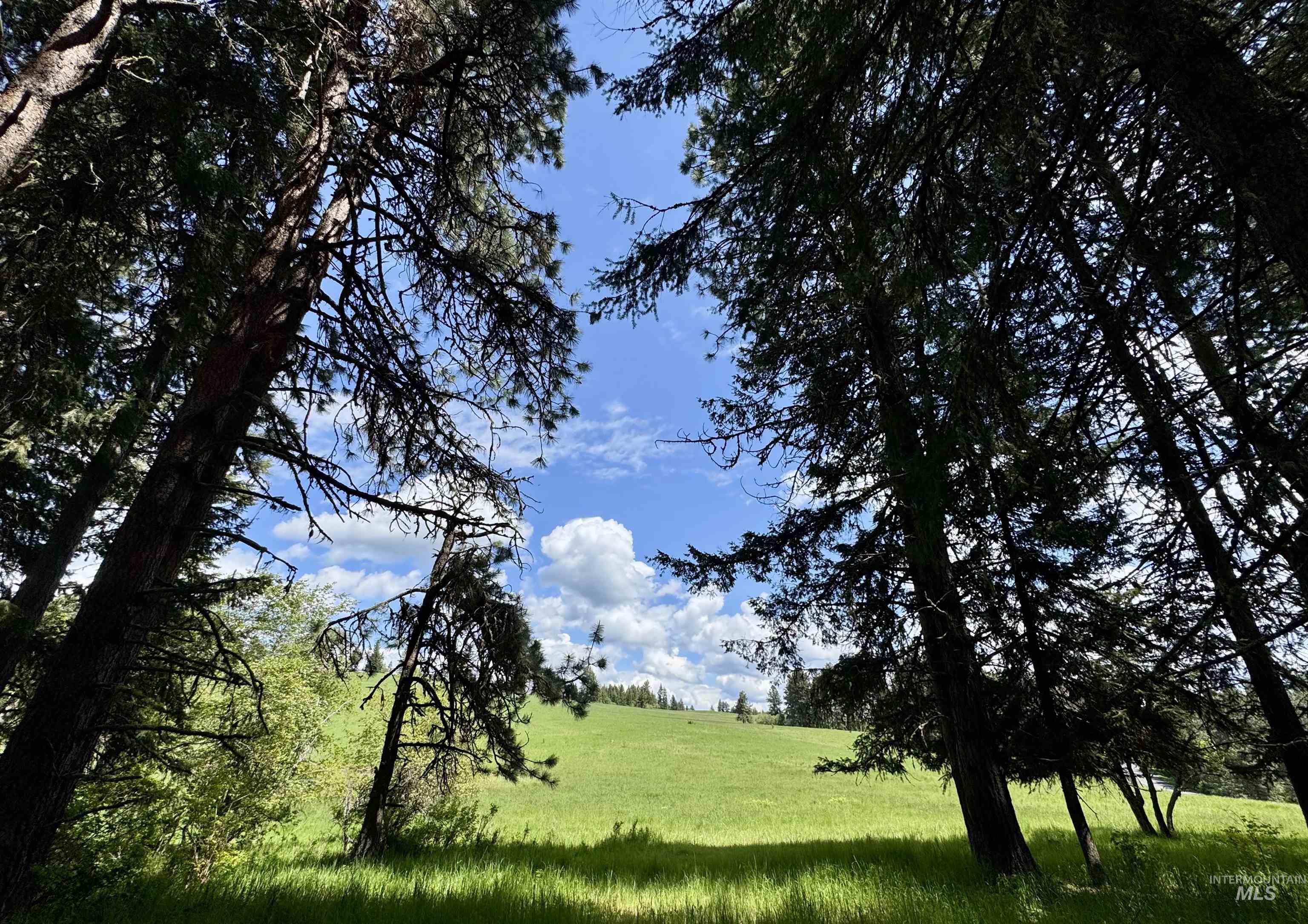 1726 Kidder Ridge Road Kamiah, ID 83536 - Photo 23 of 30