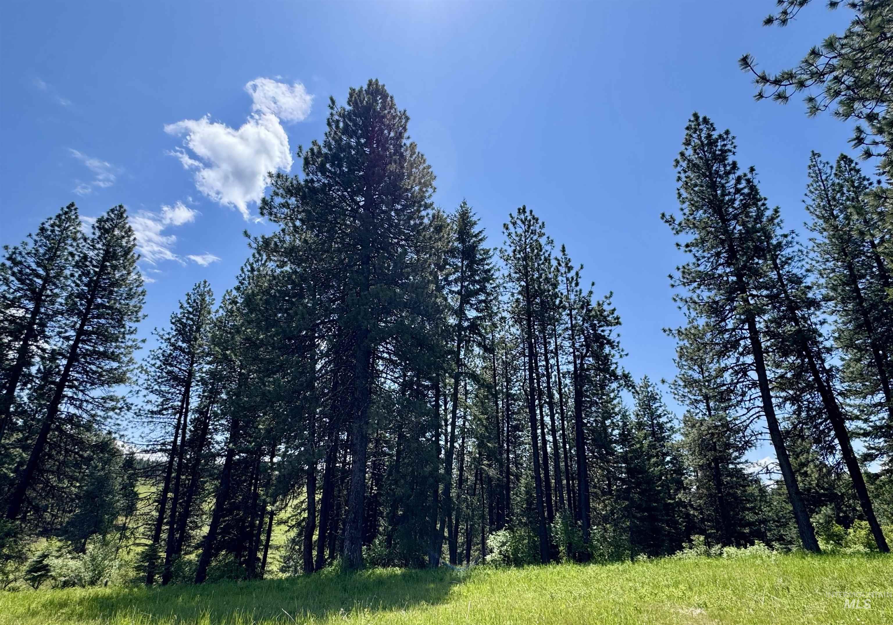 1726 Kidder Ridge Road Kamiah, ID 83536 - Photo 24 of 30