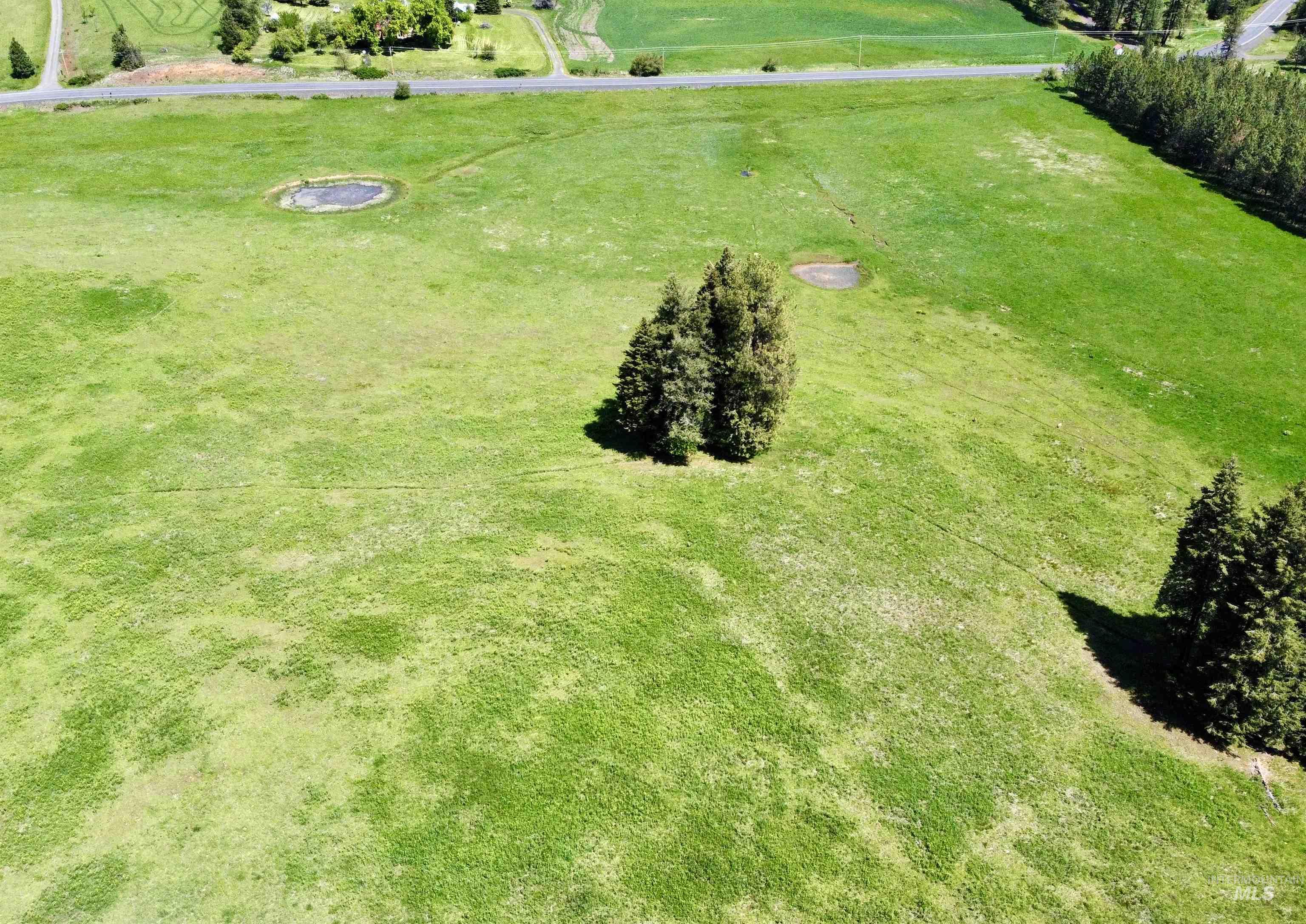 1726 Kidder Ridge Road Kamiah, ID 83536 - Photo 5 of 30