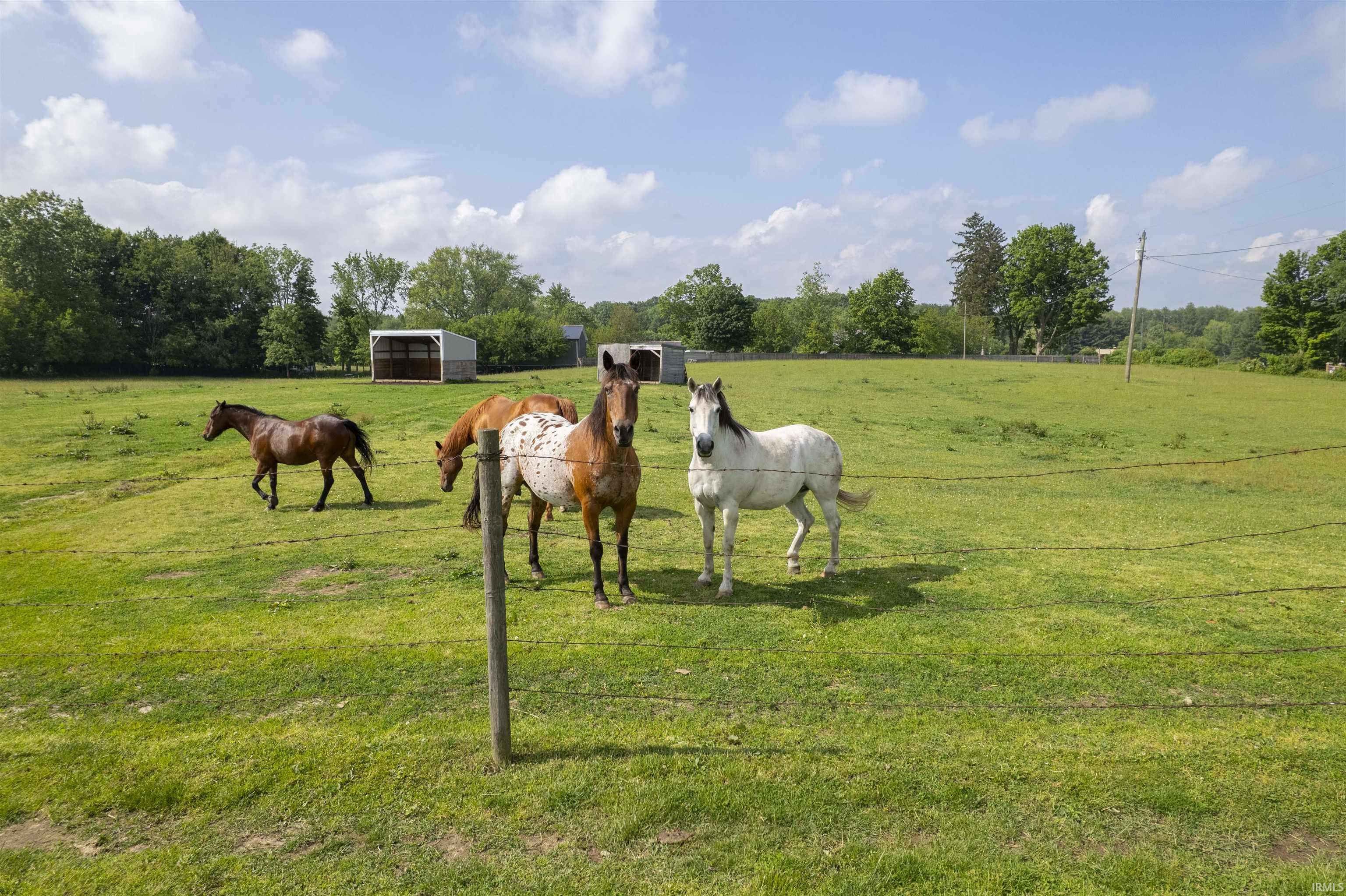 63397 Mulberry Road South Bend, IN 46614 - Photo 2 of 36