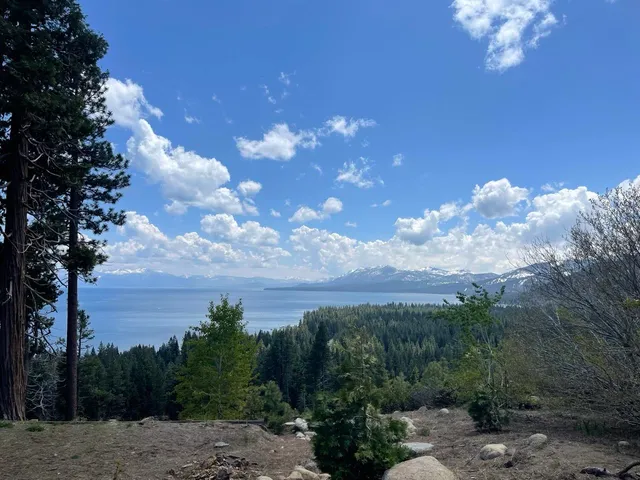 a kitchen with a table chairs cabinets and stainless steel appliances