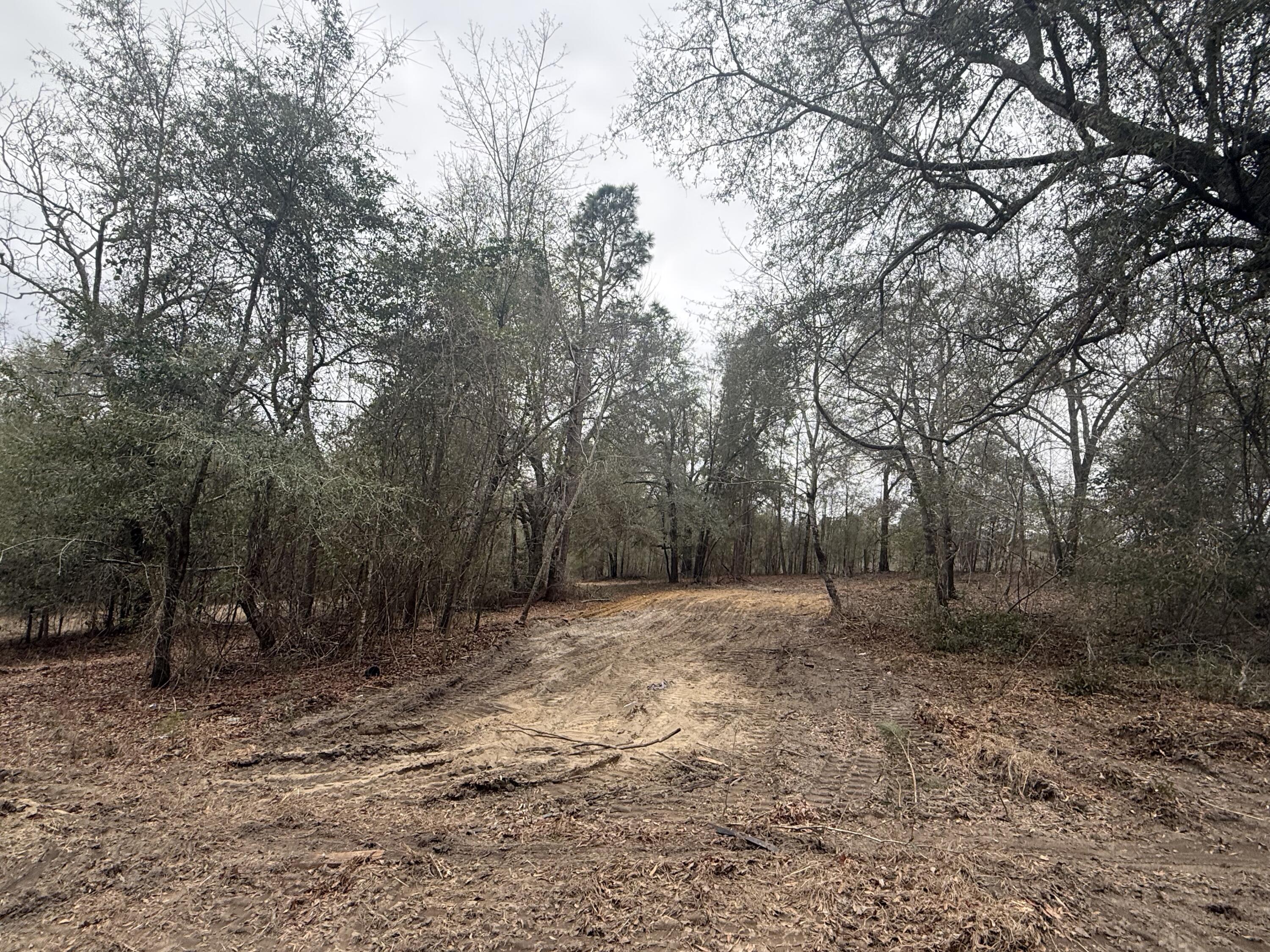 223 Ridge Road Waynesboro, GA 30830 - Photo 4 of 10 IMG_5555