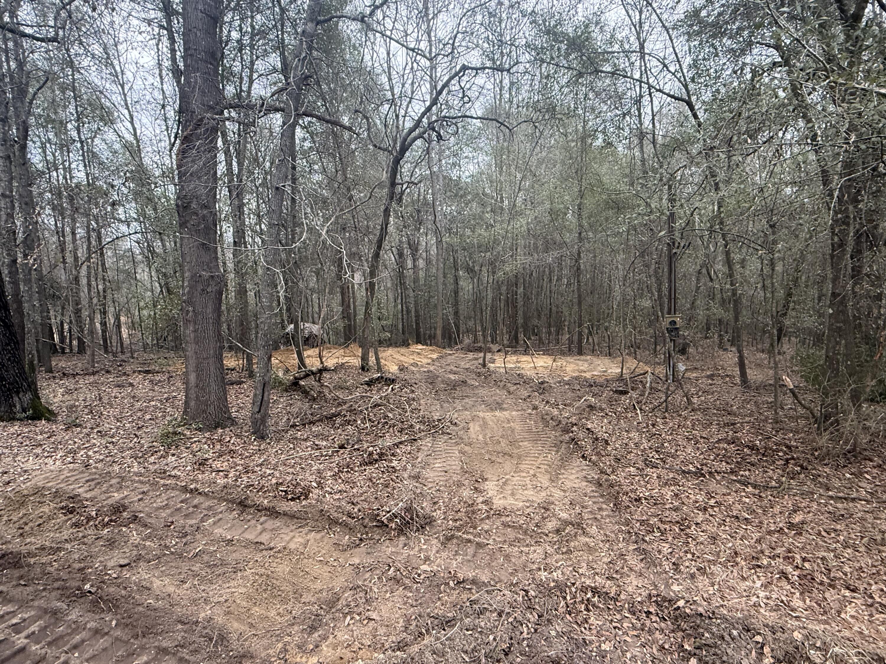 223 Ridge Road Waynesboro, GA 30830 - Photo 5 of 10 IMG_5556