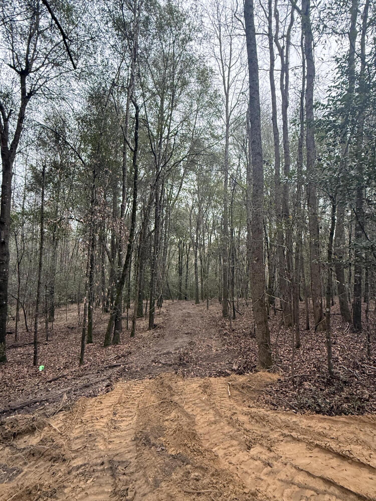 223 Ridge Road Waynesboro, GA 30830 - Photo 6 of 10 IMG_5557