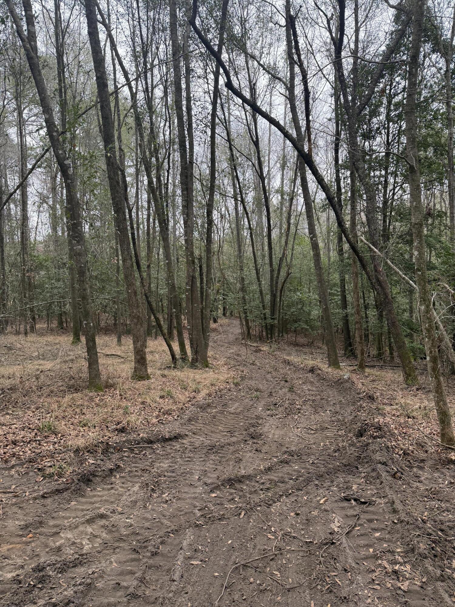 223 Ridge Road Waynesboro, GA 30830 - Photo 7 of 10 IMG_5558