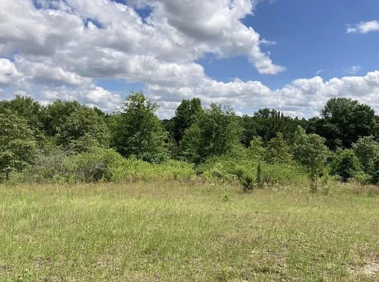 223 Ridge Road Waynesboro, GA 30830 - Photo 8 of 10 IMG_4098