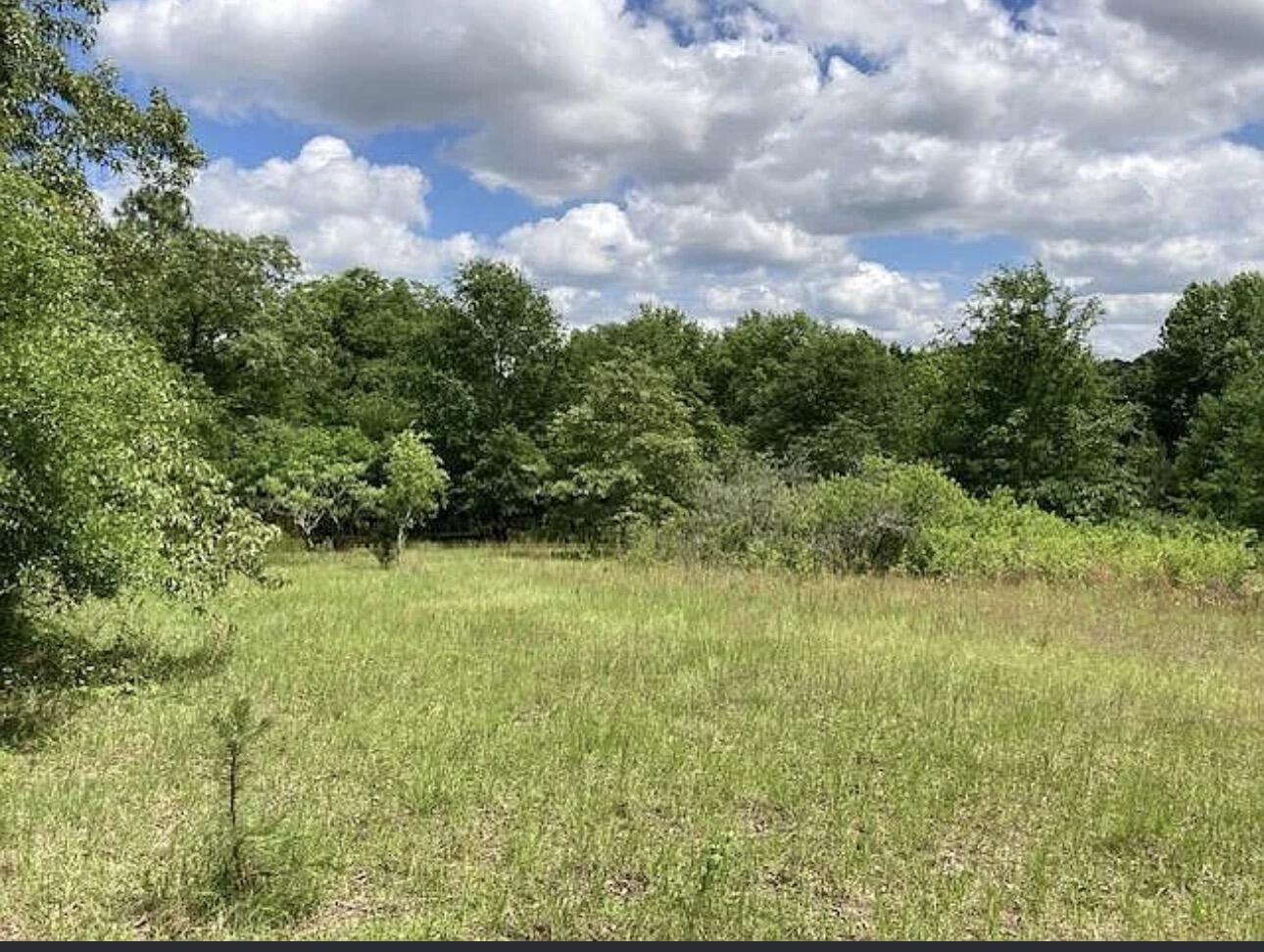 223 Ridge Road Waynesboro, GA 30830 - Photo 9 of 10 IMG_4100