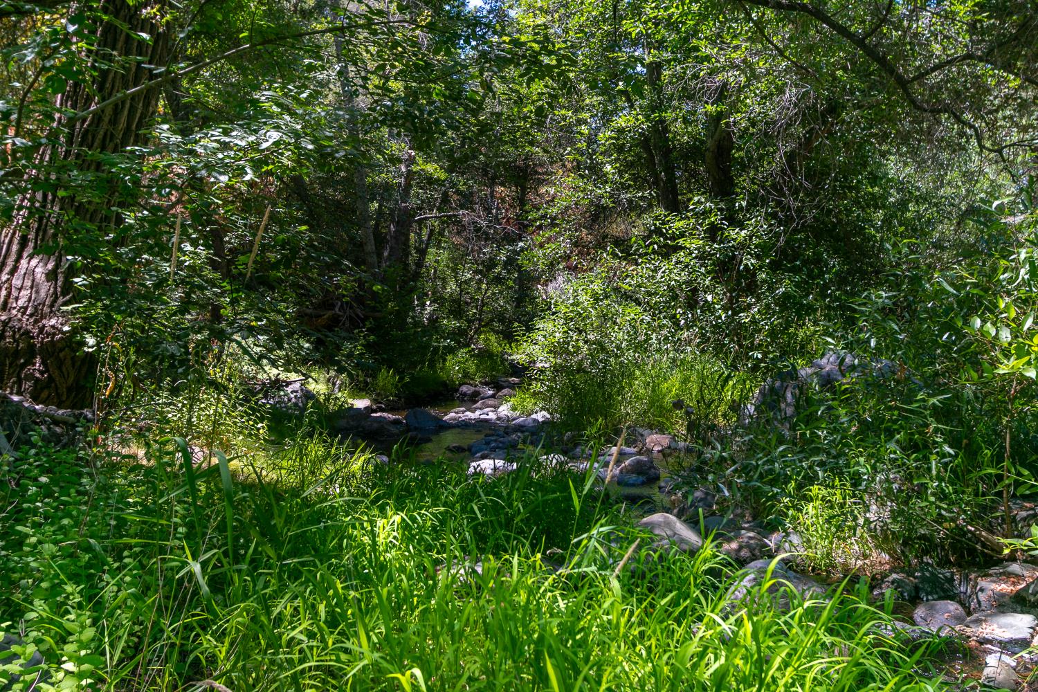 0 Stony Creek Road Ione, CA 95640 - Photo 11 of 70